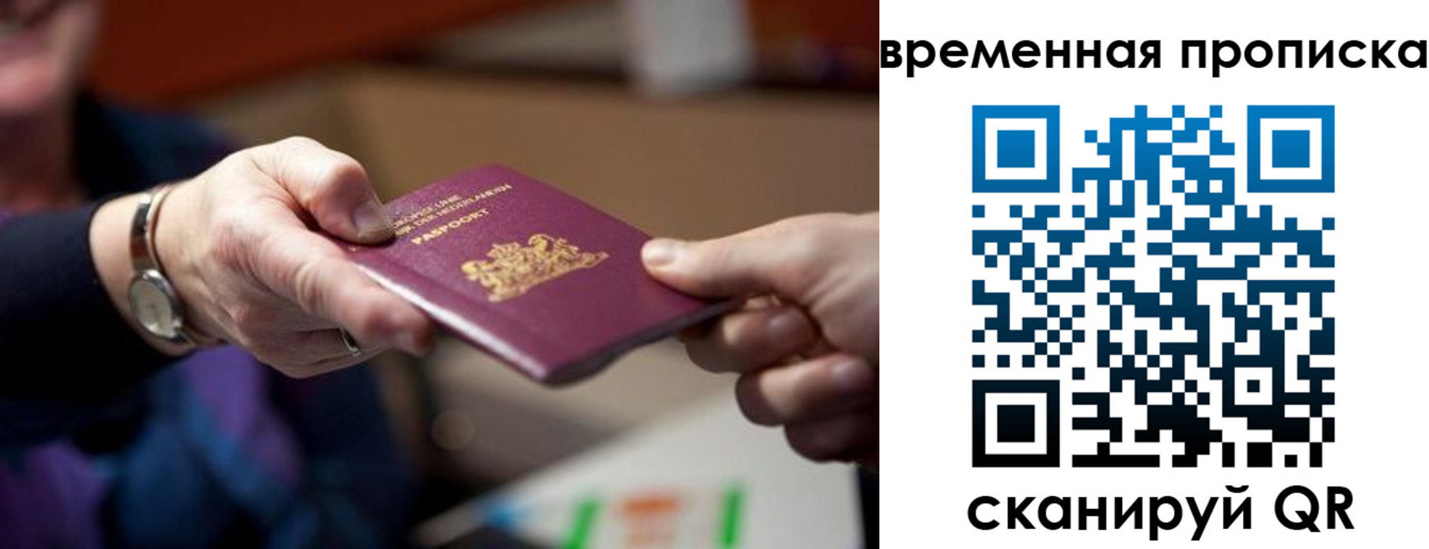 временная регистрация для всех в Стародубе